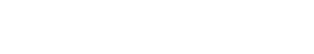 Agile Inference Logo